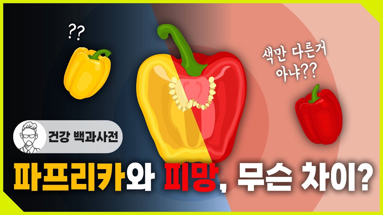 파프리카와 피망은 무슨 차이가 있을까? 그리고 언제부터 먹어온 것일까?  @SEMOJI