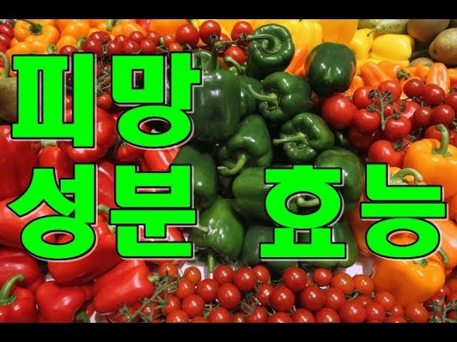 피망(bell pepper)의 효능